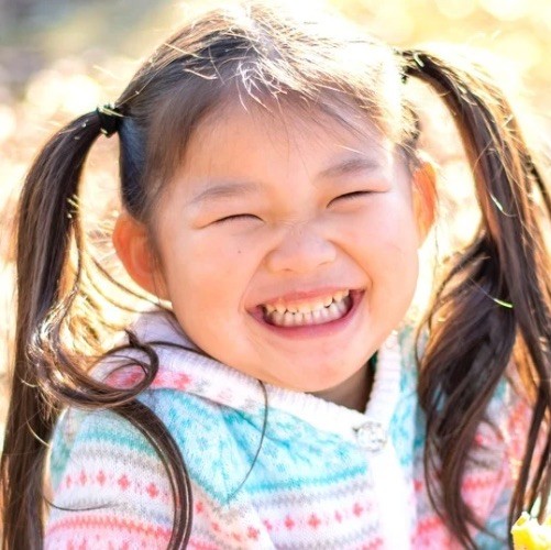 活動写真2